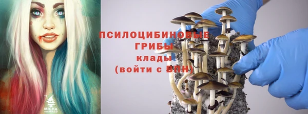 меф Дмитровск