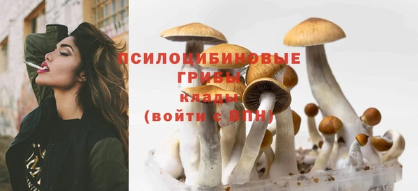 меф Дмитровск