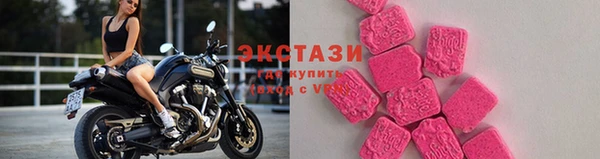 гашик Дмитров