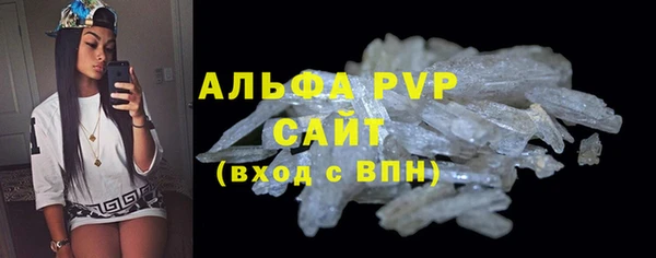 гашик Дмитров