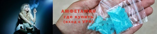 гашик Дмитров