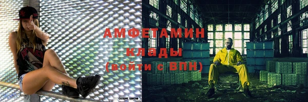 гашик Дмитров