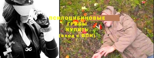 меф Дмитровск