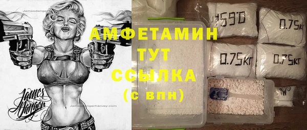 гашик Дмитров