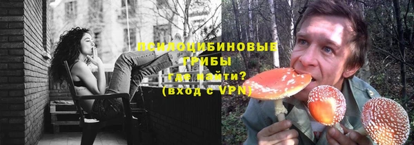 гашик Дмитров