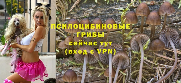 меф Дмитровск