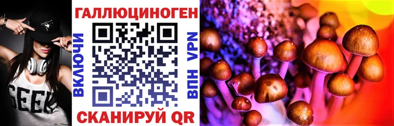 где можно купить   Ивангород  Галлюциногенные грибы Psilocybe 